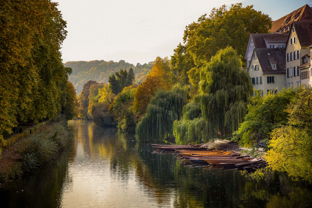 Stocherkähne an der Anliegestelle Hölderlinturm in Tübingen